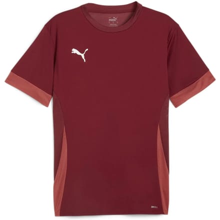 Jersey Puma TeamGoal