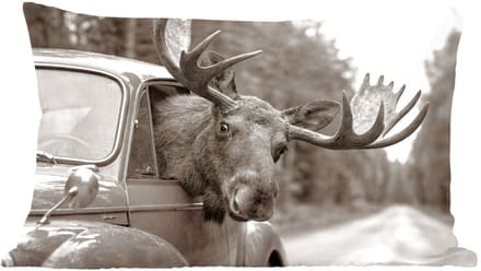 Sierkussens - Kussentjes Woonkamer - 60x40 cm - Eland - Auto - Gewei - Zwart - Wit