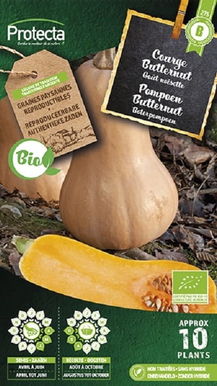Protecta Groente zaden: Pompoen Butternut Biologisch