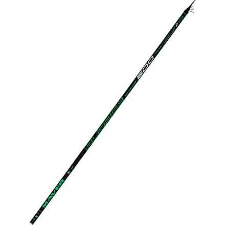 Cane Maver Audace