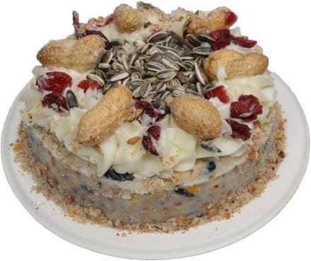 Wielink Vogel slagroomtaart met cranberry
