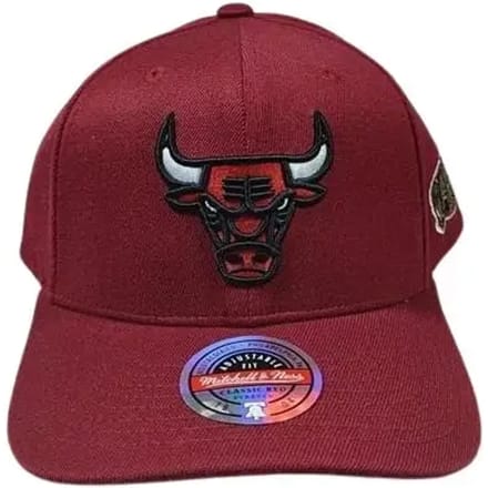 Chicago Bulls pet Seasonal