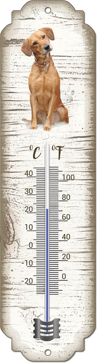 Thermometer: Labrador blond | Hondenras | Temperatuur binnen en buiten | -25 tot +45C