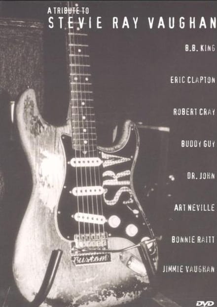 Stevie Ray Vaughan - Tribute to