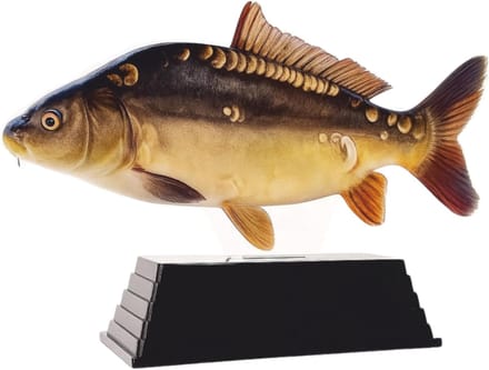 Karper Trofee - Vis Prijs - Wedstrijd Winnaar - Realistische Spiegelkarper - 17 cm - Natuurlijke kleuren