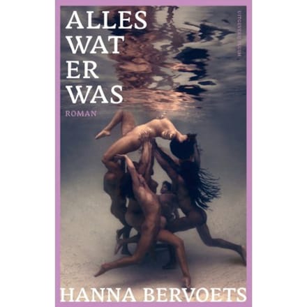 Alles Wat Er Was - Hanna Bervoets