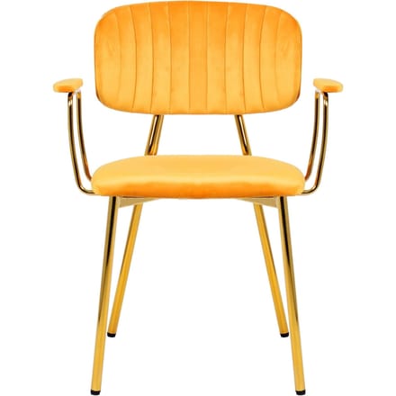 Set van 2 eetkamerstoelen Giselle velvet | Underbar