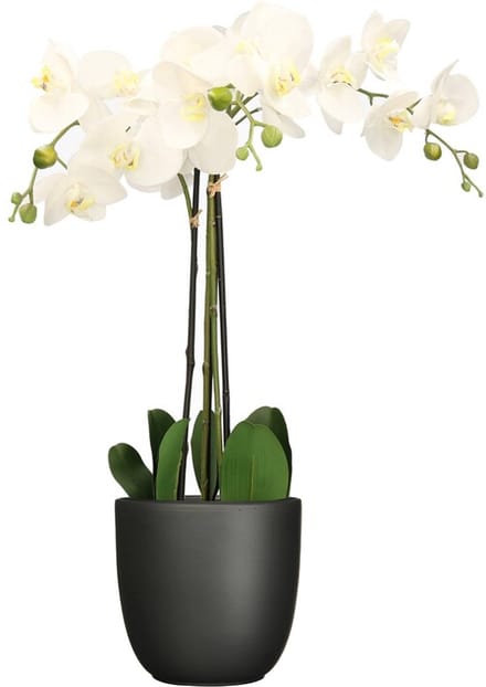 Orchidee kunstplant wit - 75 cm - inclusief bloempot zwart mat - Kunstbloemen in pot