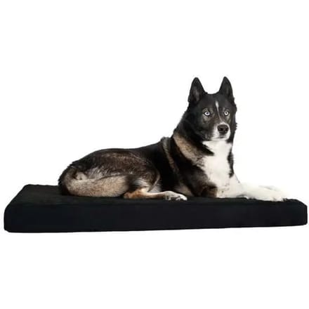 Traagschuim matras Back on Track XL