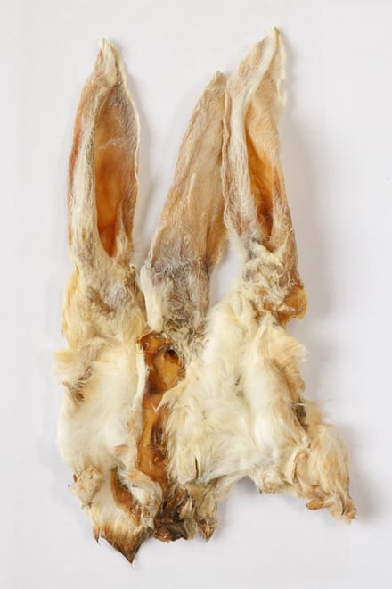 Konijn oren met haar 1kg van de snackmeester 100% natuurlijk natural naturel
