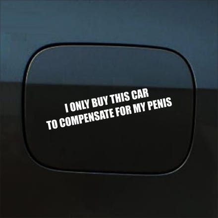 Bumpersticker - I Only Buy This Car - 3,5 X 19,6 - Wit