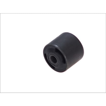 Lager, motor SASIC 8003205 rechts