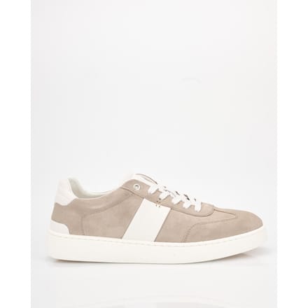 Greve Sneakers