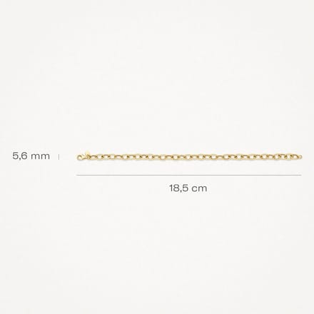 Blush Armband 14kt Goud 2255YGO