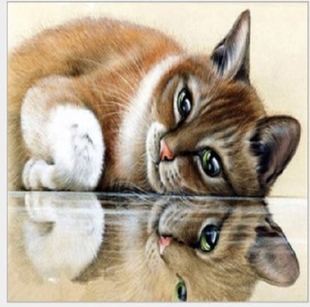 Diamond painting 40x50cm - poes/kat - ronde steentjes