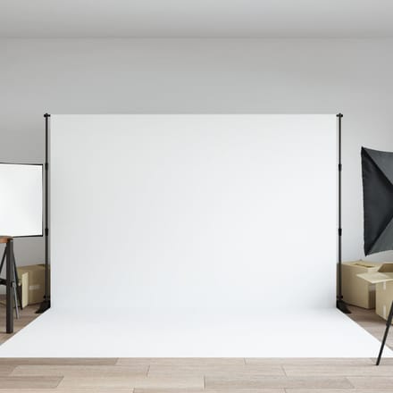 vidaXL - Achtergrondstandaard - 305x243 - cm - staal - zwart