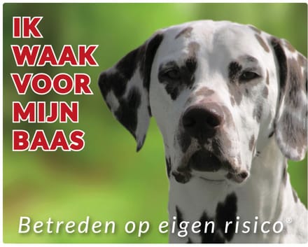 Dalmatier Waakbord - Ik waak voor mijn baas