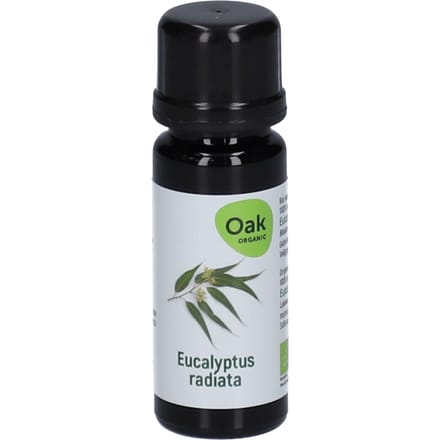 Oak Eucalyptus Radiata Essentiële Olie Bio 10 Etherische olie