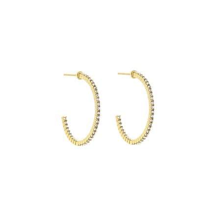 Oorbellen - Oorringen - Stass /Zirkonia - Hoops - Goudkleuring/Wit