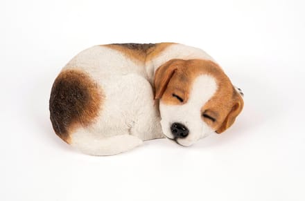 Hamac Slapende Jack Russel Tuinbeeld - 23,7 x 17 x 8 cm - Bruin/Wit