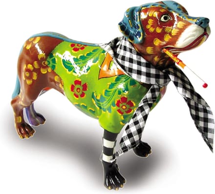 Toms Drag Hond Kurt lopend