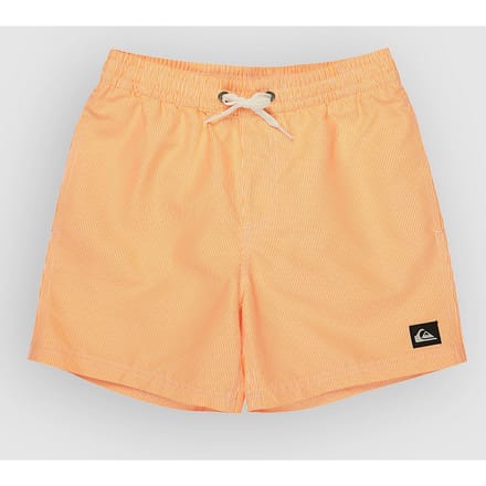 Quiksilver Everyday Deluxe Volley 14 Kids Boardshorts geel