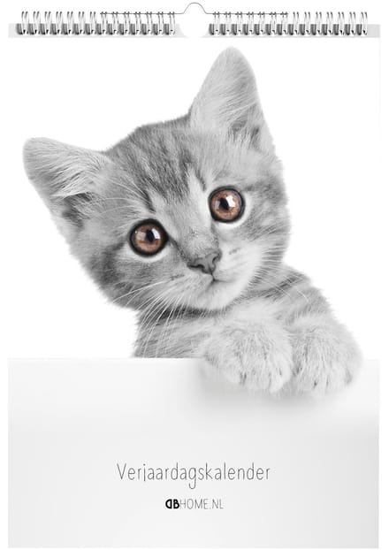 Kalender Kittens Z/W
