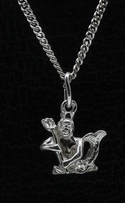 Zilveren Sterrenbeeld Waterman ketting hanger - klein