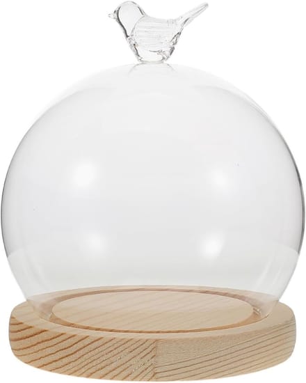Set van transparante glazen bel met decoratieve displaybasis voor bewaarde bloemen en DIY-projecten