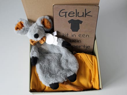 Minibox Mouse Misty - cadeau zwangerschap - kraamcadeau - cadeau babyshower
