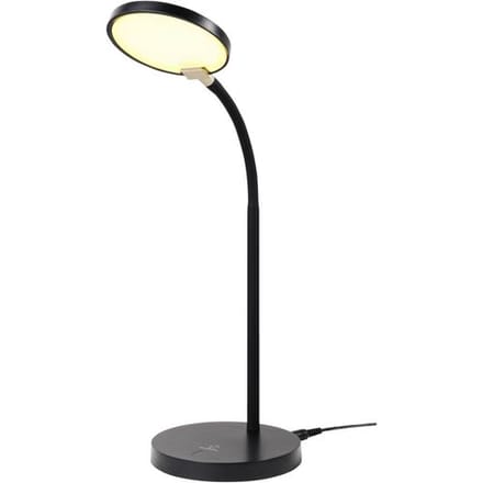 Renkforce RF-5734674 Bureaulamp 4.3 W Zwart