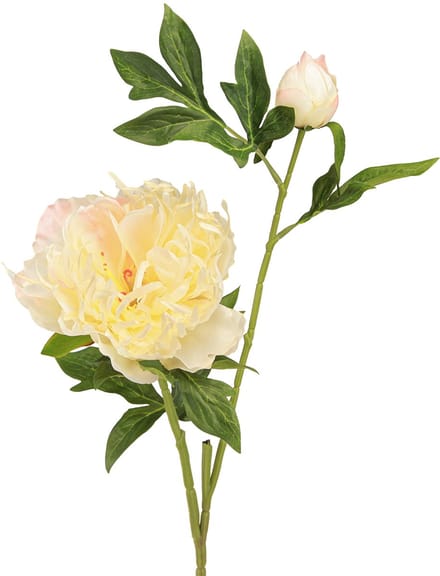 Decoratie Pioenrozen Kunstbloemen Gele Bloesem L64cm 2st