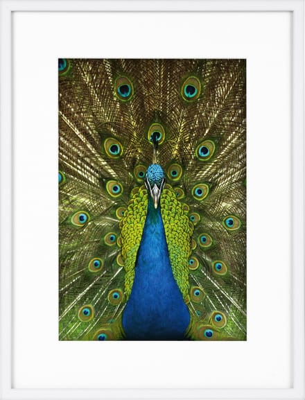 Goldbuch - Fotolijst Pino - Wit - 20x30 cm (30x40 cm)