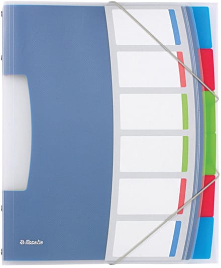 Esselte Vivida - classification folder - 6 parts - tabbed - white translucent