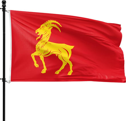 VlagDirect - Boxmeer vlag - Gemeente Boxmeer vlag - 90 x 150 cm.