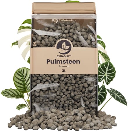 Sybotanica - Puimsteen 3L Grof (8-16mm) - Bodemverbeteraar - Terrarium Decoratie