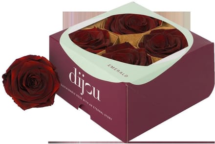 4x Dc pres.rozen dark amber