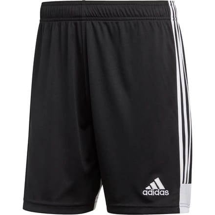 Short adidas Tastigo 19