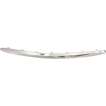 Sierlijst/beschermstrip, bumper BLIC 6502-07-8118914P