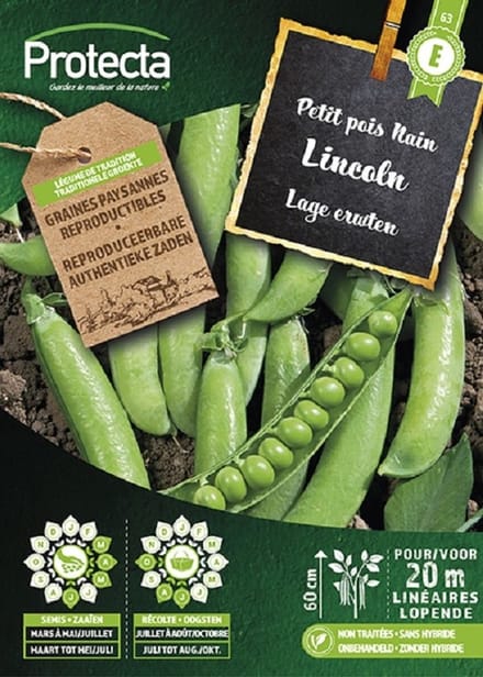 Protecta Groente zaden: Lage erwten LINCOLN