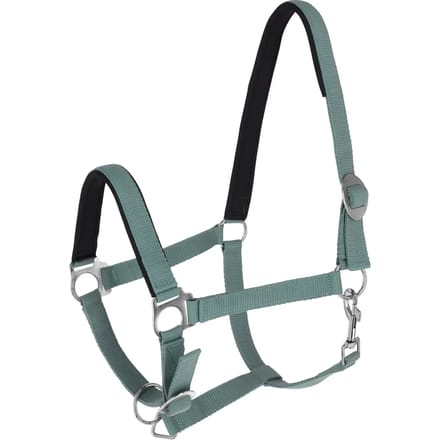 Halster voor paarden Covalliero Doria