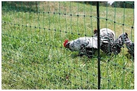Kerbl Hobbyfarming Kerbl 292273 Gevogeltenet groen, 25 m / 106 cm dubbele punt