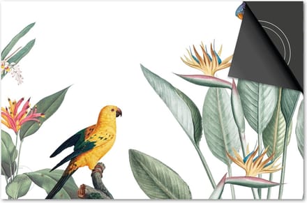 Inductie beschermer 71x52 - afdekplaat inductie mat - Dietrix Kookplaat beschermer - Base - Jungle Wit Bladeren Vogel