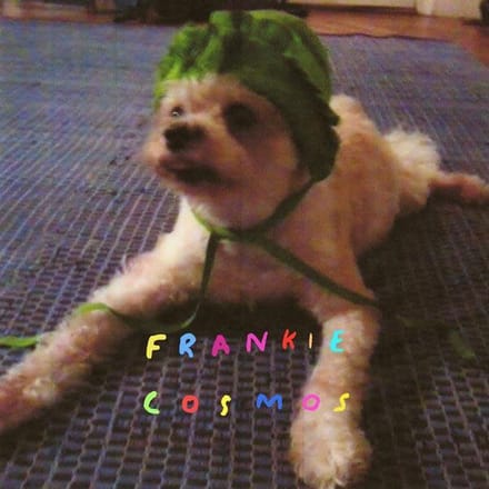 Zentropy - Frankie Cosmos