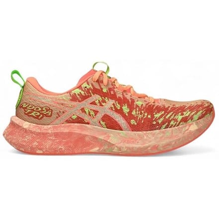 Hardloopschoenen Asics Noosa Tri 16