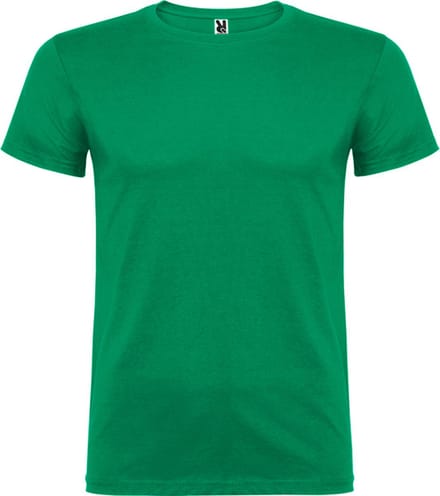 Kelly Groen 5 pack t-shirts Roly Beagle maat S