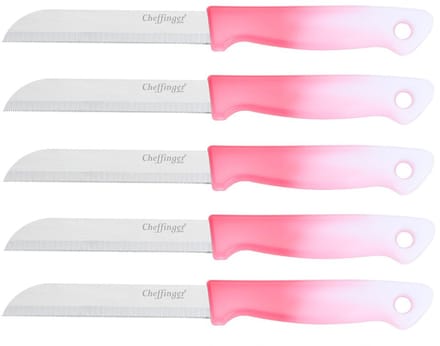 Cheffinger Schilmessenset – RVS Glad – 18 cm – Roze – 5 Stuks - Schilmesje