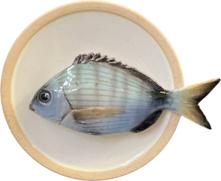 Sarago medio op crème kleur bord met lichte rand, 15cm rond