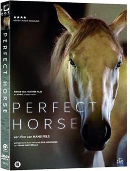 Perfect Horse