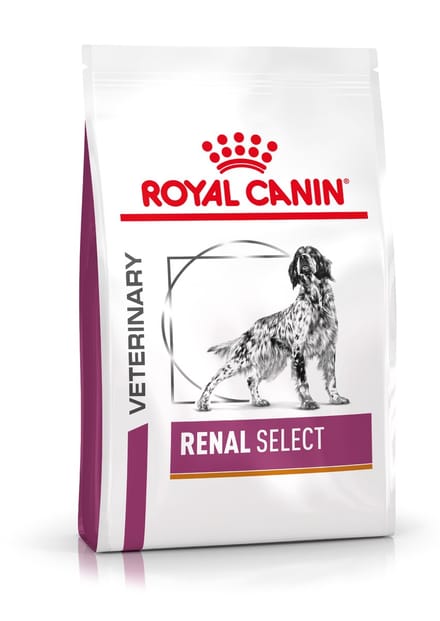 Royal Canin Veterinary Diet Renal Select Canine - 2 kg - Hondenvoer
